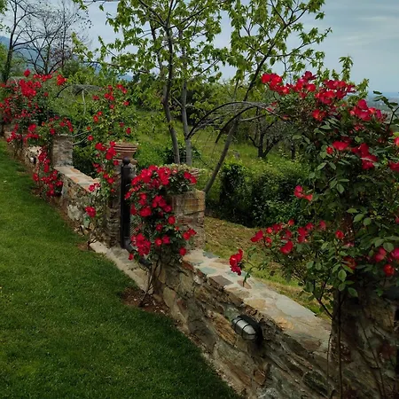 Dionisos * Skotina