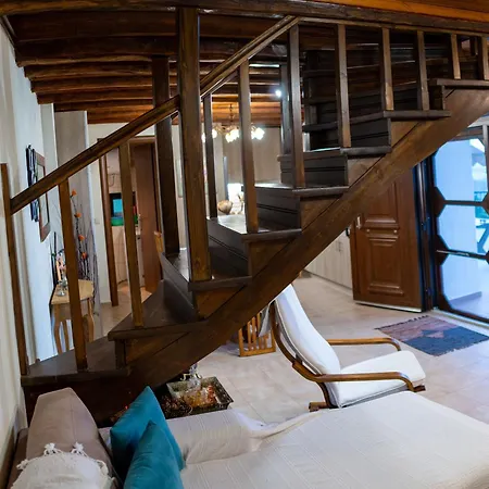 Dionisos * سكوتينا