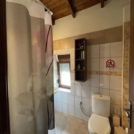 Dionisos سكوتينا