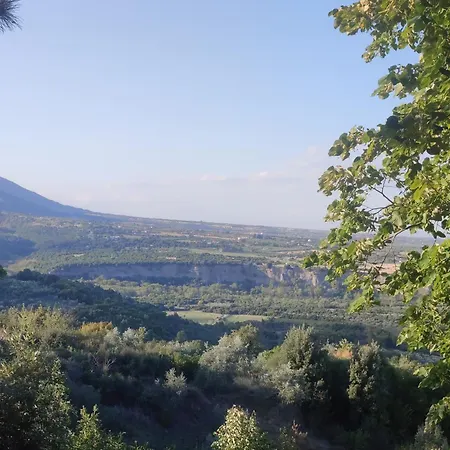 Dionisos فيلة سكوتينا