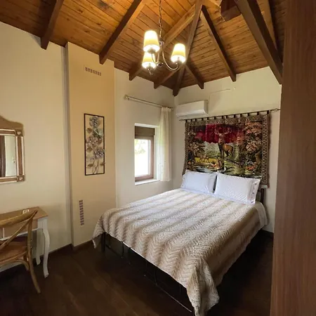 Dionisos * سكوتينا