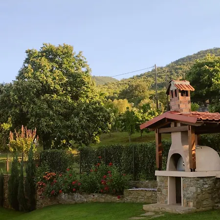 Dionisos فيلة سكوتينا