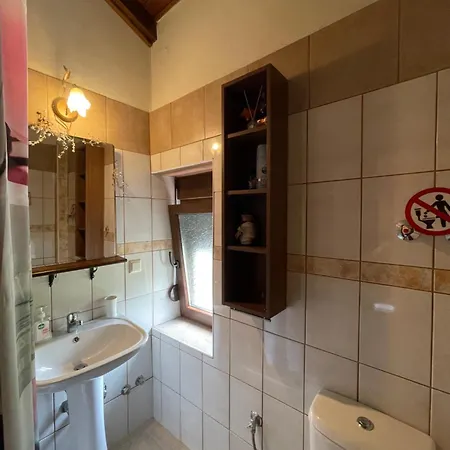 فيلة Dionisos سكوتينا