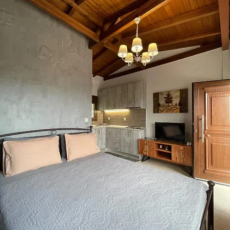 Dionisos سكوتينا